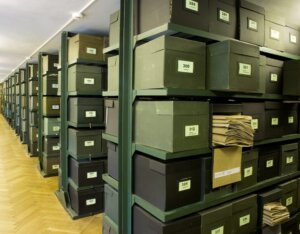 Zielnik w Alejach Ujazdowskich 4