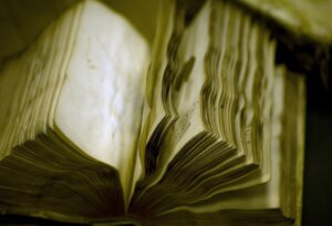 Jeden z tomów herbarium vivum Boretiusa