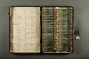 Preparaty mikroskopowe mszaków